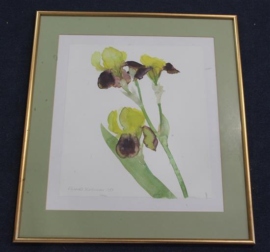 § Dame Elizabeth Violet Blackadder O.B.E. (1931-) Study of yellow irises 14 x 12.5in.